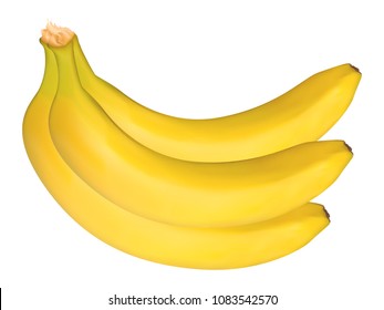 Vector Banana Bunch on the White Background. Delicious Tropical Fruits. Realistic Yellow Bananas for Wallpaper, Packaging, Paper, Tablecloth, Tile, Advertising, Marketing, Illustration.