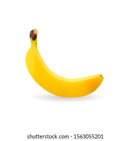 Vector banana. Bunches of fresh banana fruits isolated on white background, collection of vector illustrations