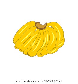 Vector banana. Bunches of fresh banana fruits isolated on white background