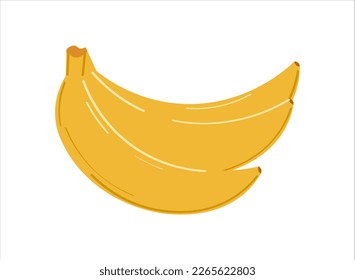 Vector banana. Bunches of fresh banana fruits isolated on white background.