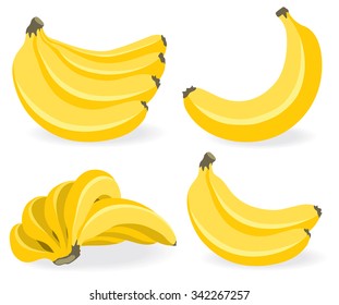 Vector banana. Bunches of fresh banana fruits isolated on white background, collection of vector illustrations