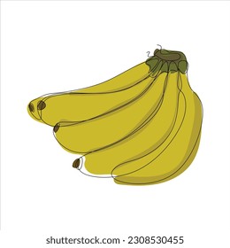 Vector banana drawing of one continuous line. Color illustration of banana in the style of one line 
