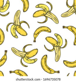 Bananengravur der Vektorillustration auf weißem Hintergrund. Vintage handgezeichnete Illustration für Menü, Werbung