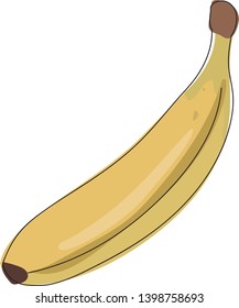 Vector banana. Fresh banana fruit isolated on white background