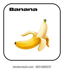 vector banana fress fruit background