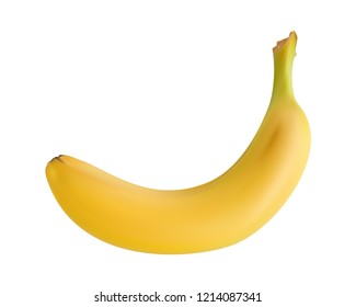 Vector banana fruit, 3d realistic isolated on white background. EPS 10