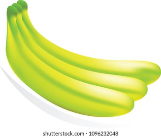 vector banana, fruit illustration