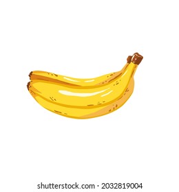 Frutos vectoriales de plátano aislados en fondo blanco.