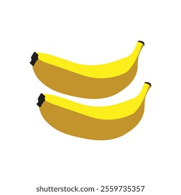 vector banana fruits in white background