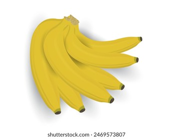 Vector banana icon, illustration of three yellow tropical fruit isolated of white background, cartoon flat bananas bunch, children simple style.