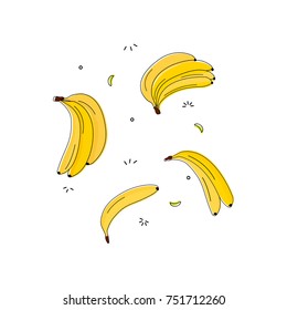 Vector banana illustration. Fruit summer decoration. Exotic tropical organic print. Tasty vitamin design