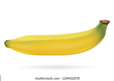 Vector Banana isolated on white background. Vector illustration.