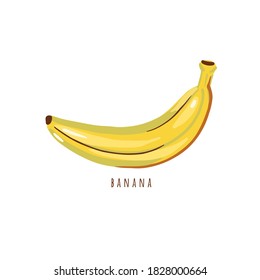 Vektorbanane einzeln auf weißem Hintergrund. Einfache Bananenfrucht-Illustration. 