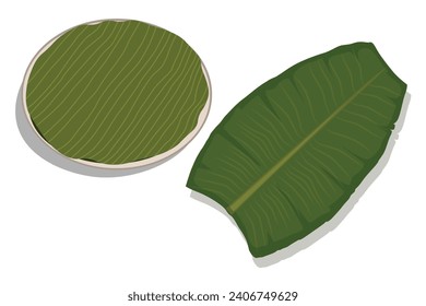 vector of banana leaf for south Indian food on plates. vector illustration. eps 10.