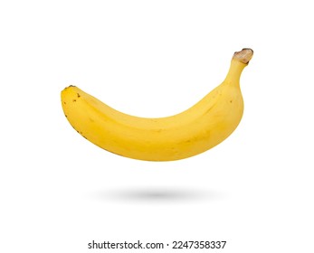 Vector banana in realistic style. Shiny yellow banana. 3d banana isolated on white background. Vector illustration