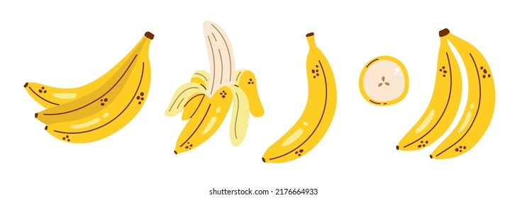 Vector banana set. Cute collection with bananas. Peeled banana, banana bunch and banana slice. Tropical fruit.