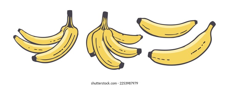 Vector banana set. Cute collection with bananas. Peeled banana, banana bunch and banana slice. Tropical fruit.