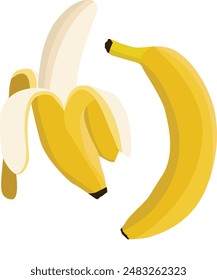 Vektorgrafik Bananenset. Süße Kollektion mit Bananen. Geschälte Banane, Bananenstrauß. Tropische Früchte.