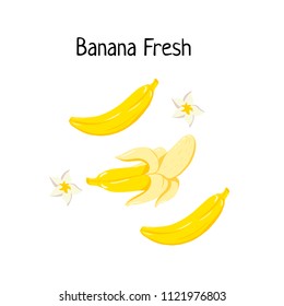 Vector banana set with fresh banana, and tropical flower for designing poster, banner, icon, logo, promo or social media. Tropic plant set. Sketch style color icons isolated
