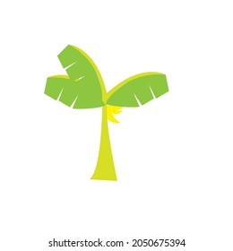 Vector banana tree flat or minimalist image