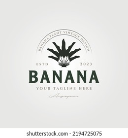 vector of banana tree logo template symbol illustration design