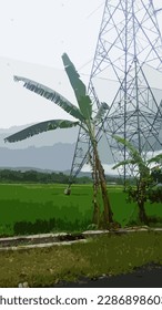 vector banana tree next to the electricity tower in the rice field area