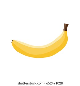 Vector of banana. Yellow fruit.