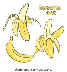 Vector bananas in different forms in the style of doodle