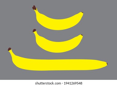 Plátanos vectores de diferentes formas. Tres plátanos amarillos maduros dibujados en un diseño plano. Frutos de la caricatura