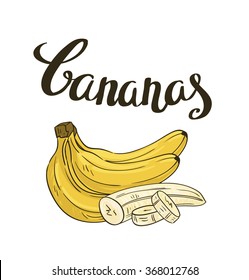 Vector bananas isolated on the white background. Hand drawn illustration.