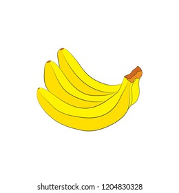 Vector of bananas on a white background.
