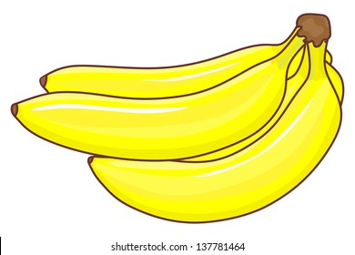 Vector bananas on white background