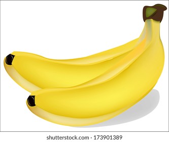 vector bananas on white background
