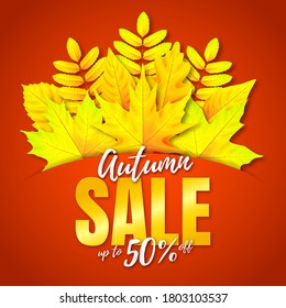 Banner vectorial con ramo 3d de arce amarillo, roble y hojas de rowan. Texto de venta de otoño. Fondo rojo.