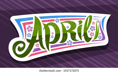 Vector banner for April, white badge with curly calligraphic font, decorative stripes and illustration of colorful flowers, art symbol with swirly hand written lettering april on purple background.