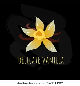 Vector banner. beautiful vanilla flowers  on  background