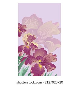 Vector banner with burgundy iris flowers on the purple background. Vector illustration, wallpaper, postcards, design for natural products.