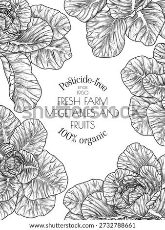 Vector banner with cabbage. Frame: nutritious vegetables. White cabbage. Healthy eating. Organic farming. Template for a grocery store