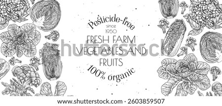 Vector banner with cabbages of different types. Whole and cut vegetables. White cabbage, Chinese cabbage, broccoli, cauliflower. Healthy eating. Organic growing. Template for grocery store