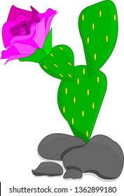  Vector banner  cactus isolated on white background. Mexican symbol. 