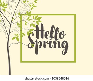 Vector banner with calligraphic inscription Hello Spring in frame and green spring tree in the park