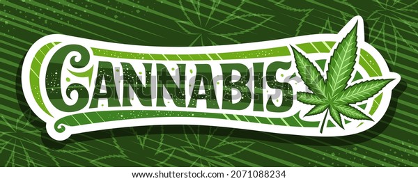 Vector Banner Cannabis Horizontal Sign Board Stock Vector (Royalty Free ...