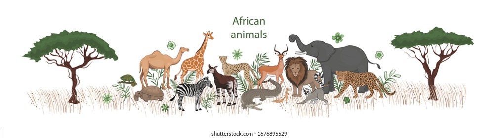 Vector banner, cartoon cute African animals with leaves, flowers and trees. Okapi, impala, camel, xerus, lion, chameleon, zebra, giraffe lemur cheetah crocodile leopard elephant tortoise