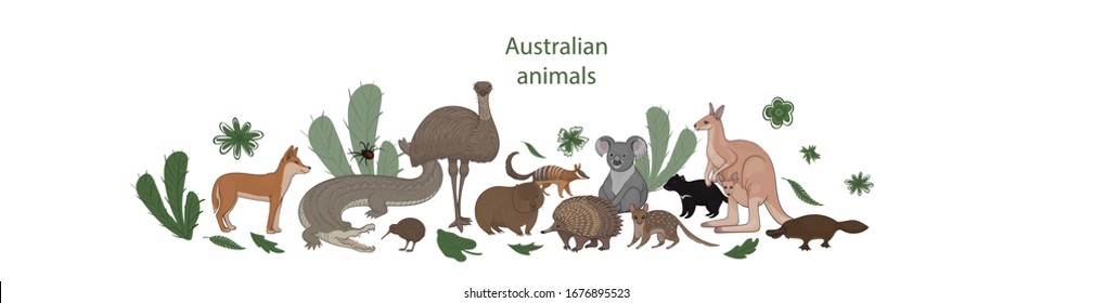 Vector banner, cartoon cute Australian animals with green leaves and flowers. Quoll, redback spider, kiwi, numbat, platypus, koala, wombat, echidna, emu tasmanian devil crocodile dingo kangaroo