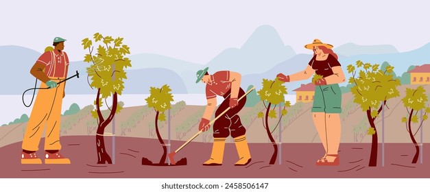 Anuncio de Vector con personajes que demuestran las actividades de la viticultura: desmalezado, riego y poda de hojas en una granja de uvas. Paisaje plano con campos fértiles.