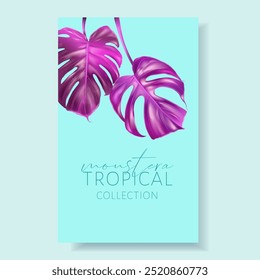 Vector banner of color tropical leaves on colorful background. Exotic botanical design for cosmetics, spa, perfume, beauty salon, travel agency, florist shop. Best as packaging design