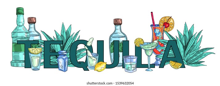 Vector banner “Tequila”. Composition with letters and tequila bottles, cocktails, agave, glasses and bar counter. Isolated on white.