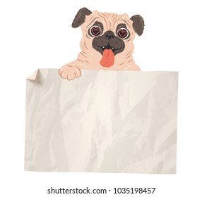 Vector banner with cute pug with old paper. Vector illustration of a cute pug with white paper. 