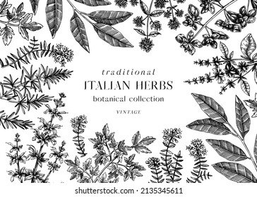 Vector banner design with typical herbs and spices for Italian cuisine. Hand-sketched kitchen herbal plants background. Aromatic food cooking ingredients frame. Hand drawn herbs and weeds template