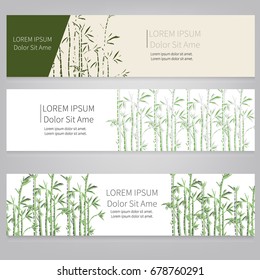 Vector banner design.Hand drawn bamboo vector background.Bamboo on  white background banner design. -stock vector